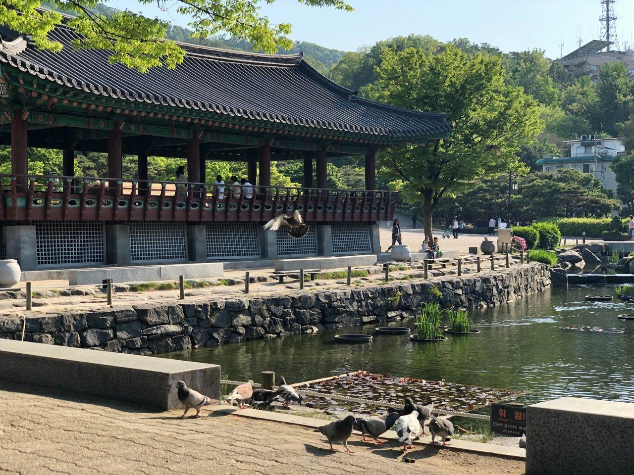 Place where time has frozen; Namsangol Hanok Village, the most beautiful site in Seoul